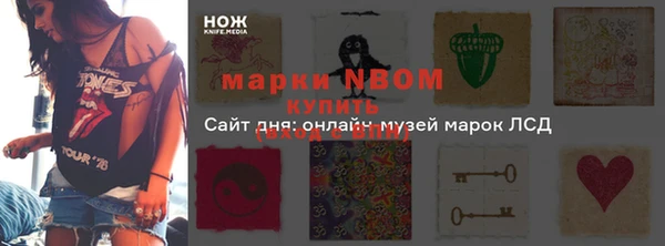 молекула духа Балахна