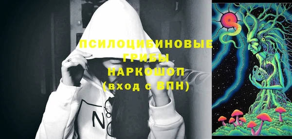 молекула духа Балахна