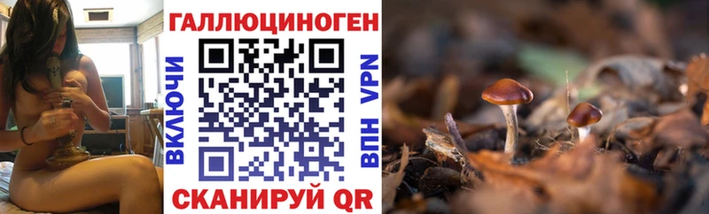 Псилоцибиновые грибы мухоморы  Красавино 